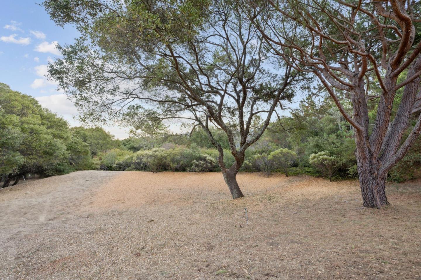 Detail Gallery Image 35 of 44 For 6 Friars Ln, Woodside,  CA 94062 - 4 Beds | 2/2 Baths