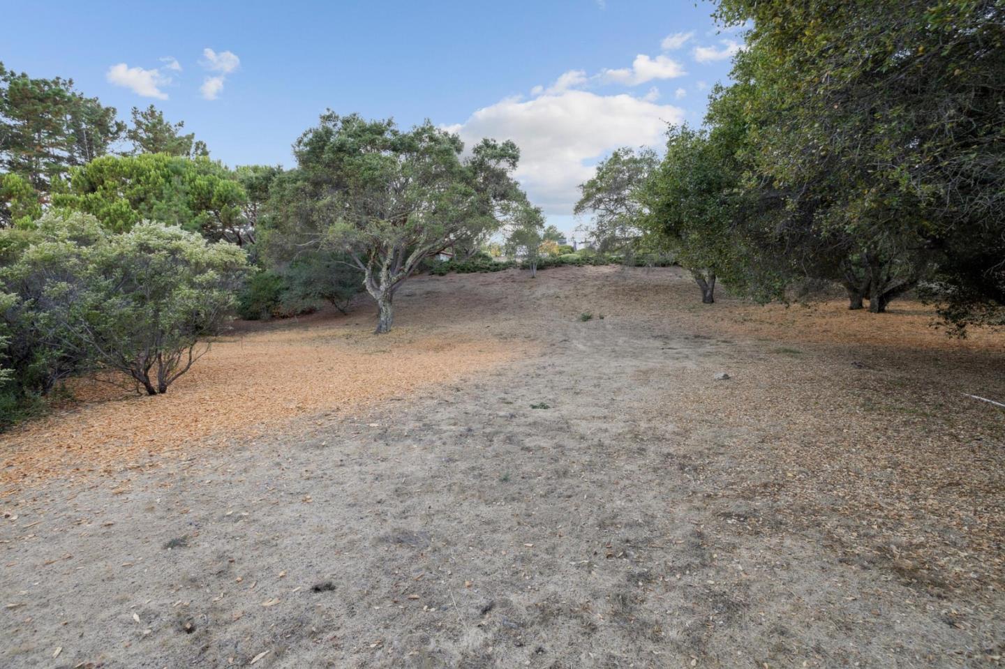 Detail Gallery Image 36 of 44 For 6 Friars Ln, Woodside,  CA 94062 - 4 Beds | 2/2 Baths