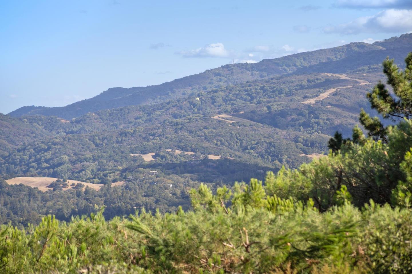 Detail Gallery Image 39 of 44 For 6 Friars Ln, Woodside,  CA 94062 - 4 Beds | 2/2 Baths