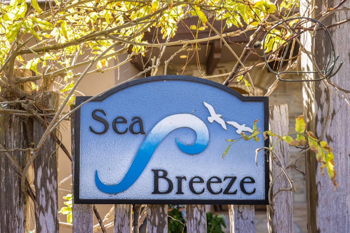 Detail Gallery Image 5 of 24 For 0 Se Corner of Monte Verde & 10th Ave, Carmel,  CA 93921 - 3 Beds | 2 Baths