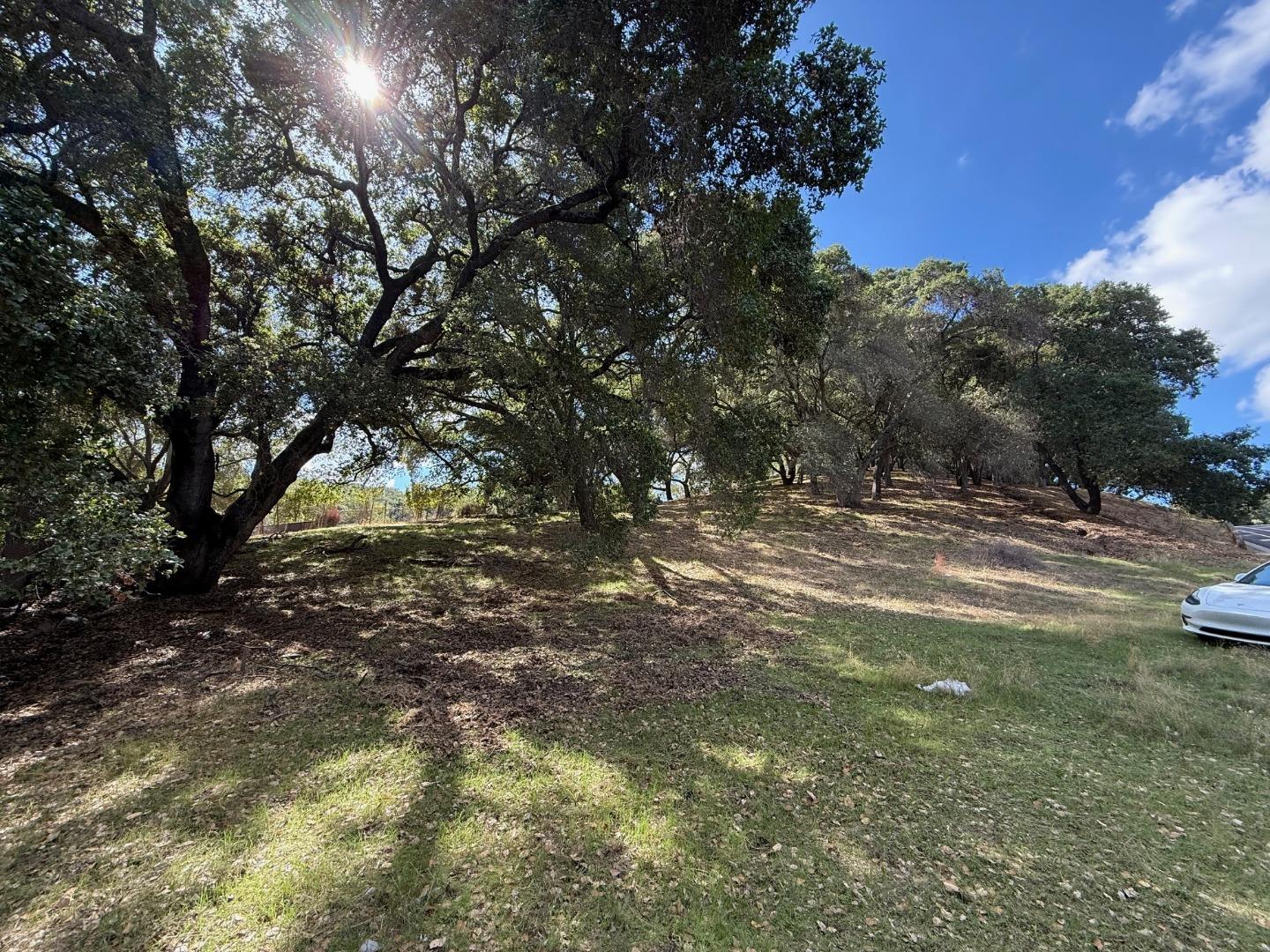 Detail Gallery Image 8 of 12 For 1920 Mantelli Dr, Gilroy,  CA 95020 - – Beds | – Baths