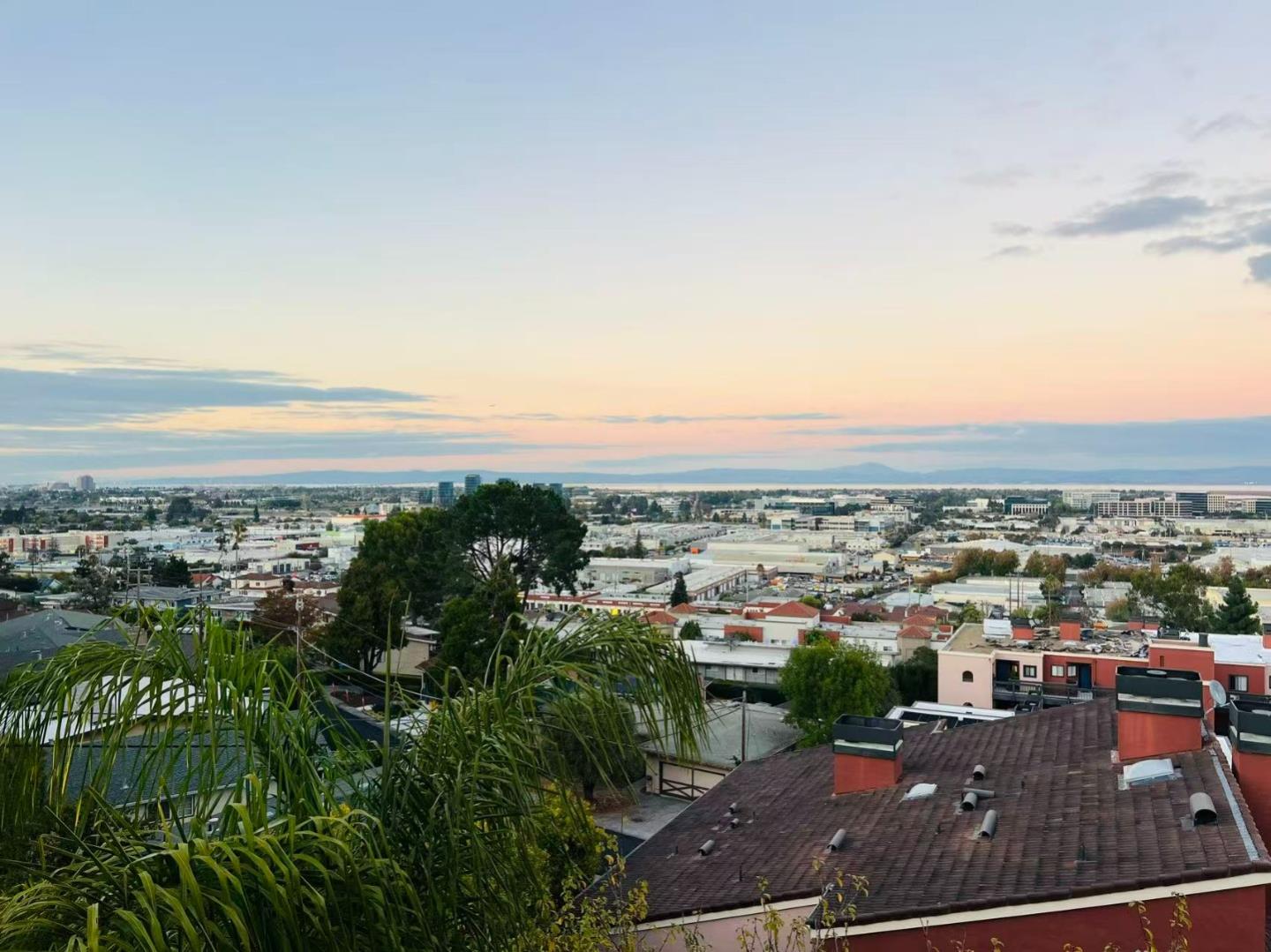 Detail Gallery Image 37 of 40 For 7 Chestnut St, San Carlos,  CA 94070 - 4 Beds | 3/1 Baths