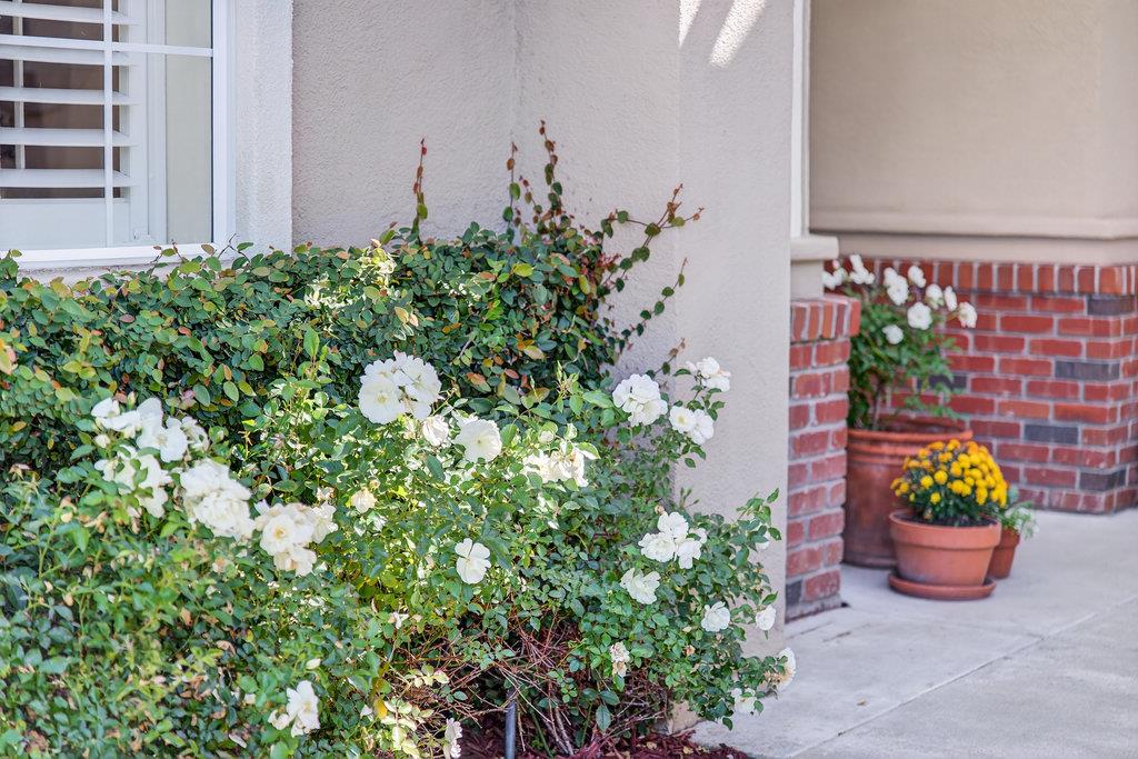 Detail Gallery Image 5 of 60 For 217 Augusta Ln, Aptos,  CA 95003 - 4 Beds | 2/1 Baths