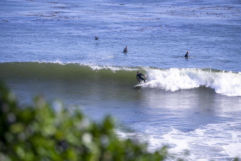 Detail Gallery Image 24 of 26 For 1610 Bulb Ave, Santa Cruz,  CA 95062 - 2 Beds | 1 Baths