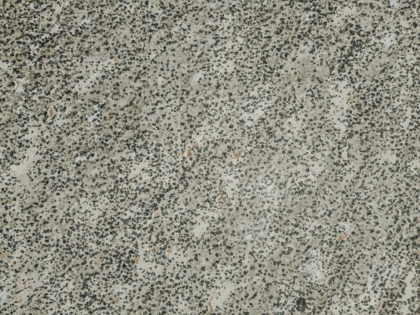 Detail Gallery Image 17 of 20 For 45th Stw Vic Ave G8, Lancaster,  CA 93536 - – Beds | – Baths