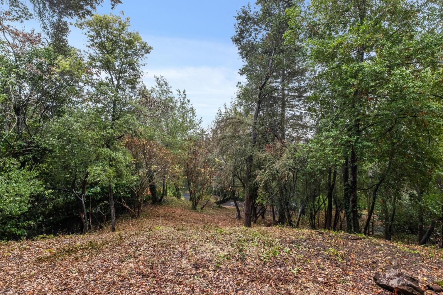 Detail Gallery Image 30 of 45 For 57 Santa Maria Ave, Portola Valley,  CA 94028 - 2 Beds | 2 Baths