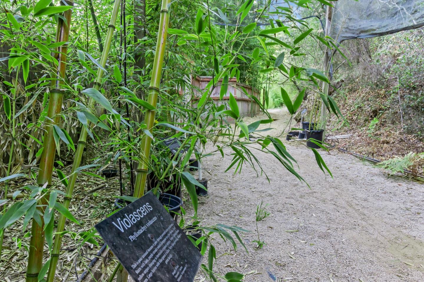 Detail Gallery Image 22 of 87 For 5601 Freedom Blvd, Aptos,  CA 95003 - – Beds | – Baths