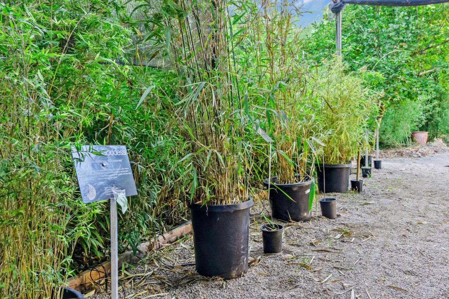 Detail Gallery Image 23 of 87 For 5601 Freedom Blvd, Aptos,  CA 95003 - – Beds | – Baths