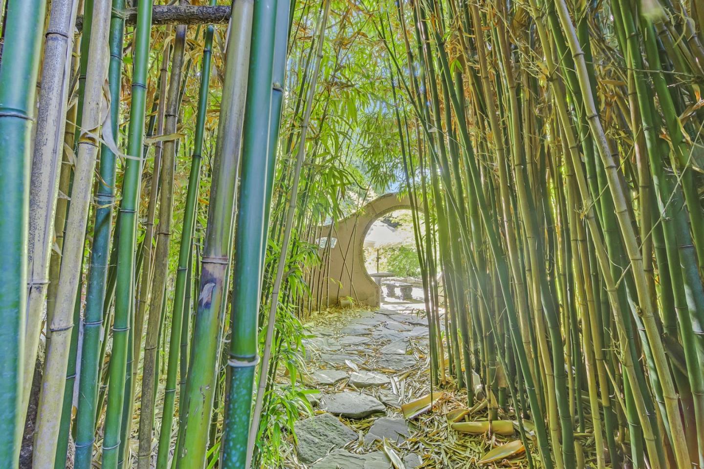 Detail Gallery Image 24 of 87 For 5601 Freedom Blvd, Aptos,  CA 95003 - – Beds | – Baths