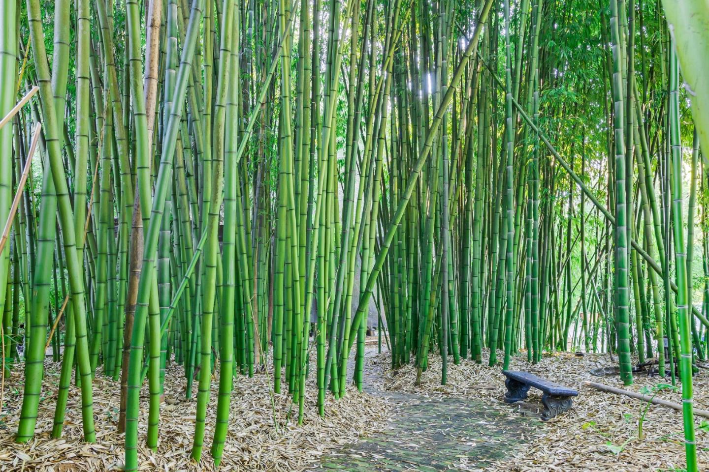 Detail Gallery Image 29 of 87 For 5601 Freedom Blvd, Aptos,  CA 95003 - – Beds | – Baths