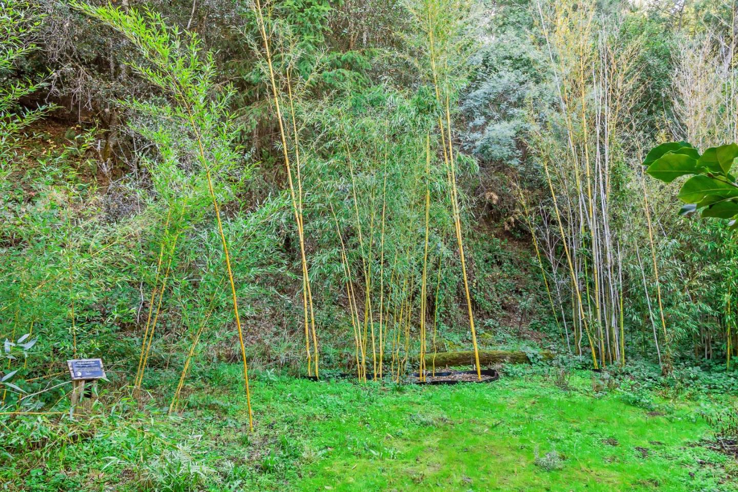 Detail Gallery Image 31 of 87 For 5601 Freedom Blvd, Aptos,  CA 95003 - – Beds | – Baths