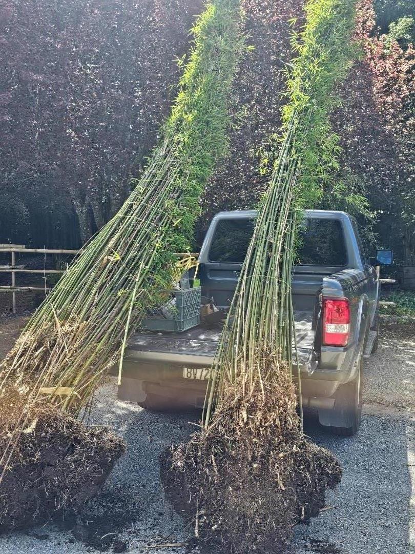 Detail Gallery Image 43 of 87 For 5601 Freedom Blvd, Aptos,  CA 95003 - – Beds | – Baths