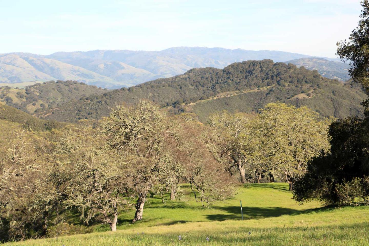 5 Black Mountain Trail (Lot 247) Trail, Carmel, CA, 93923