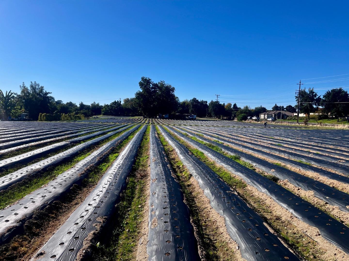 Detail Gallery Image 12 of 21 For 7314 Santa Juanita Ave, Orangevale,  CA 95662 - – Beds | – Baths
