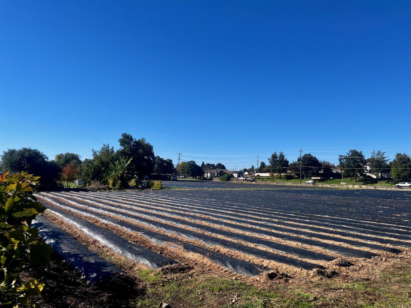 Detail Gallery Image 13 of 21 For 7314 Santa Juanita Ave, Orangevale,  CA 95662 - – Beds | – Baths