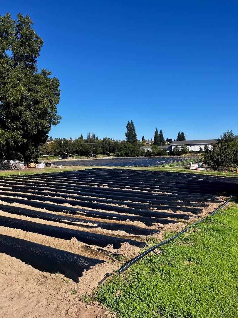 Detail Gallery Image 14 of 21 For 7314 Santa Juanita Ave, Orangevale,  CA 95662 - – Beds | – Baths