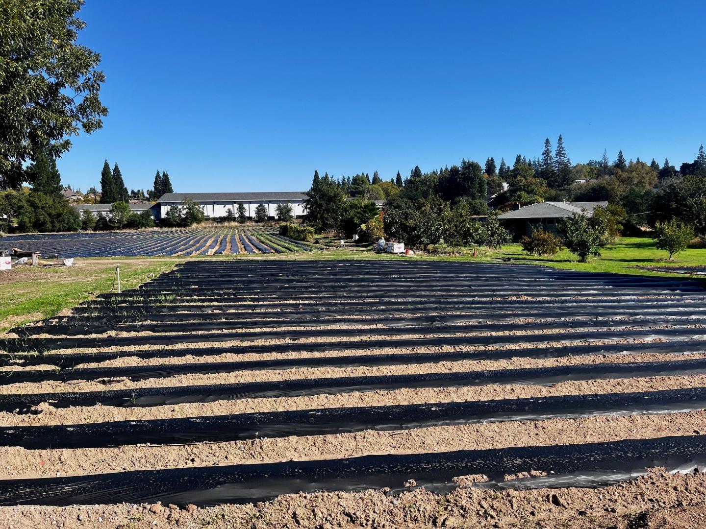 Detail Gallery Image 15 of 21 For 7314 Santa Juanita Ave, Orangevale,  CA 95662 - – Beds | – Baths