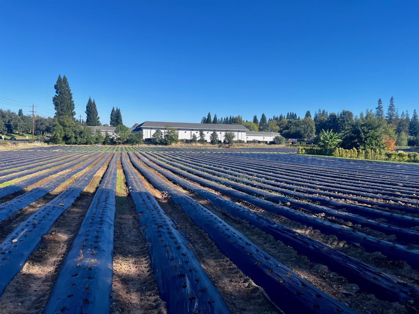 Detail Gallery Image 16 of 21 For 7314 Santa Juanita Ave, Orangevale,  CA 95662 - – Beds | – Baths