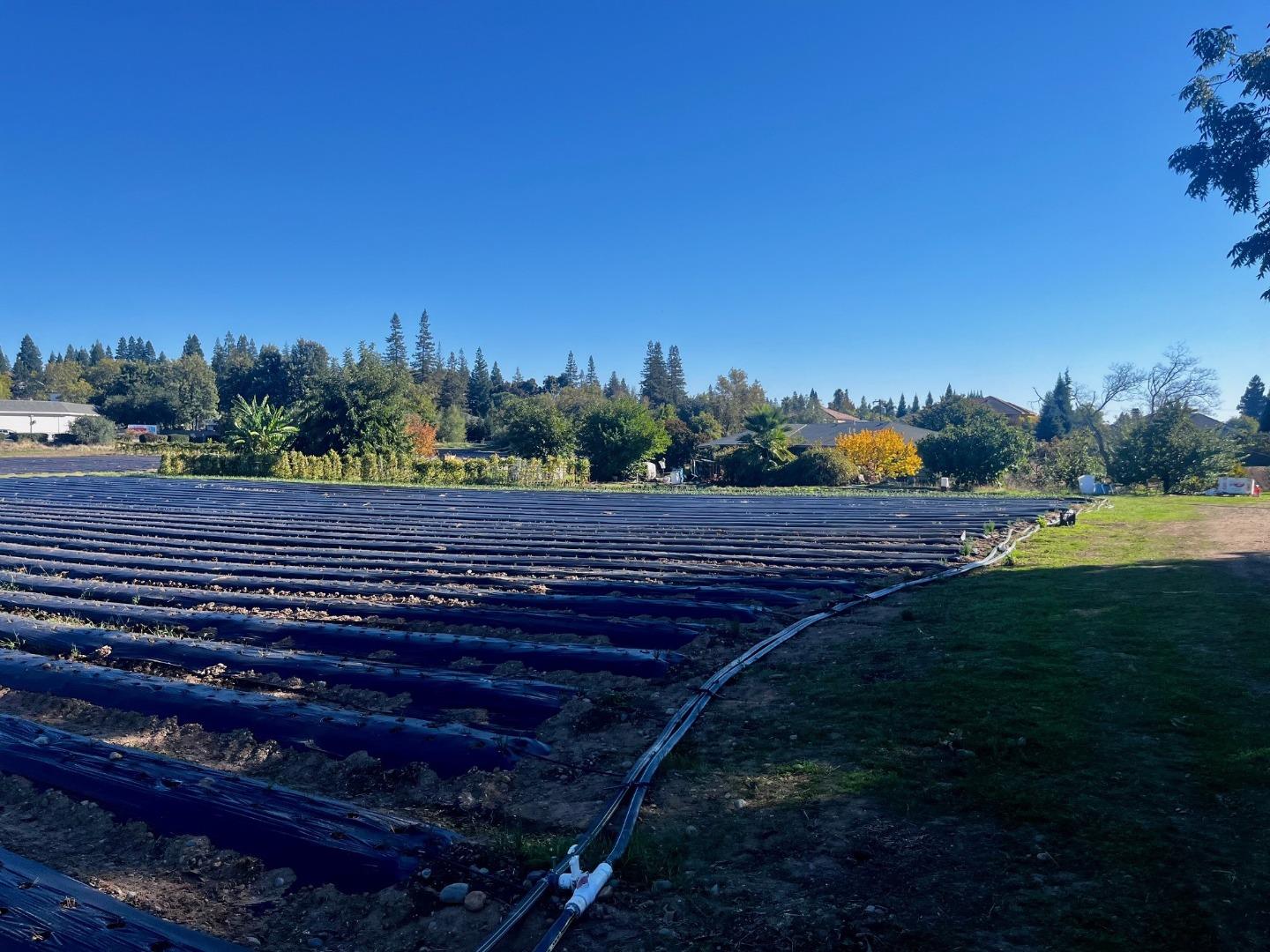 Detail Gallery Image 17 of 21 For 7314 Santa Juanita Ave, Orangevale,  CA 95662 - – Beds | – Baths