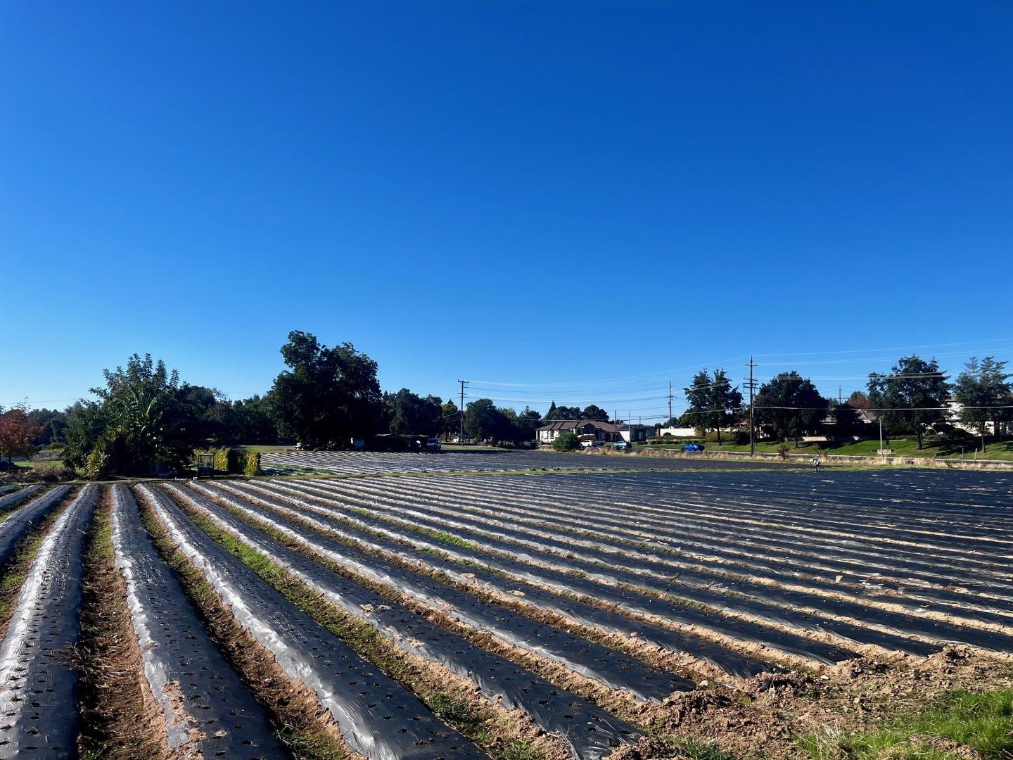 Detail Gallery Image 18 of 21 For 7314 Santa Juanita Ave, Orangevale,  CA 95662 - – Beds | – Baths