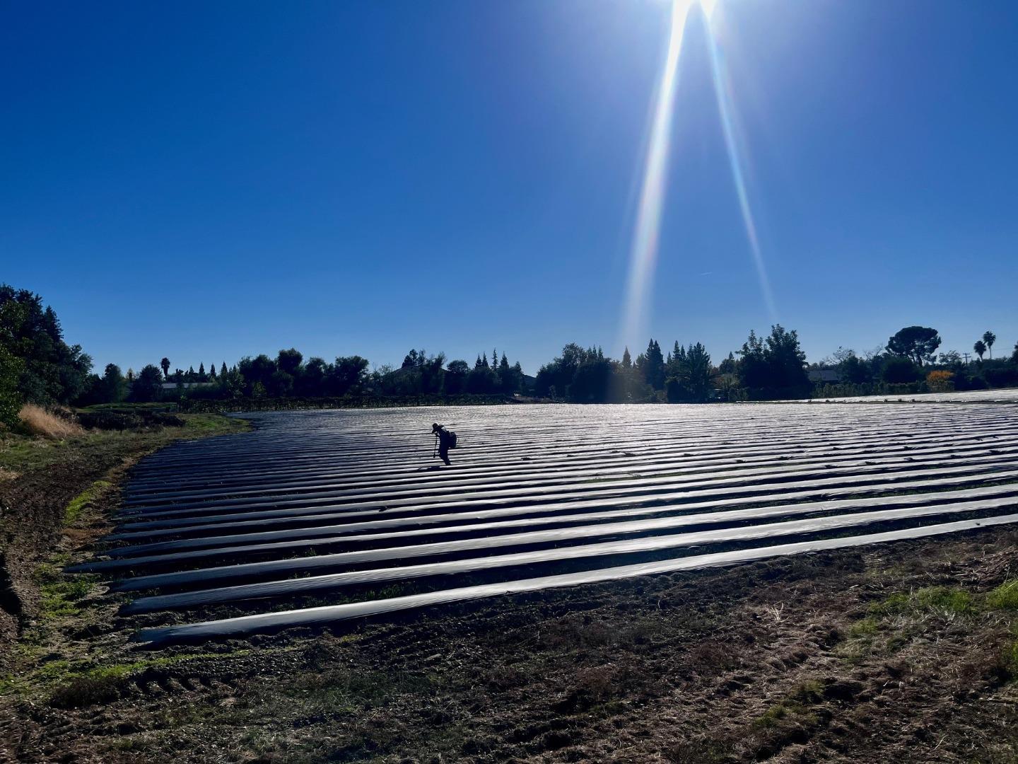 Detail Gallery Image 20 of 21 For 7314 Santa Juanita Ave, Orangevale,  CA 95662 - – Beds | – Baths