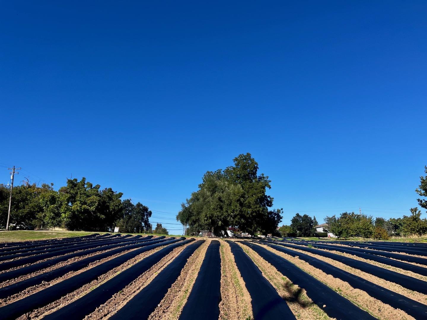 Detail Gallery Image 21 of 21 For 7314 Santa Juanita Ave, Orangevale,  CA 95662 - – Beds | – Baths