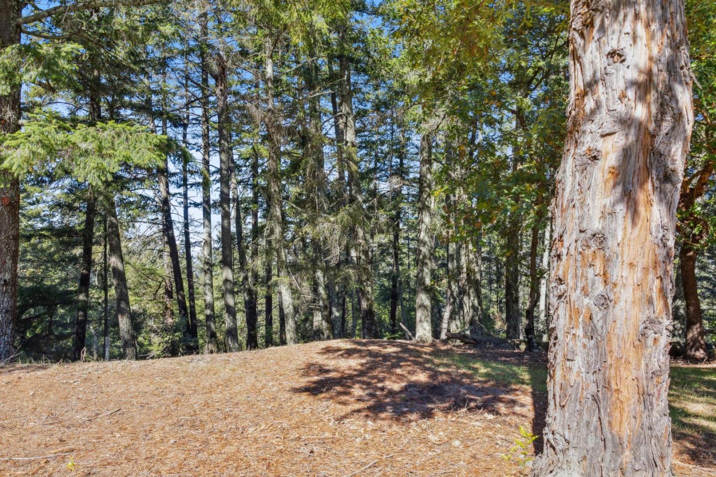 Detail Gallery Image 59 of 72 For 24595 Skyland Rd, Los Gatos,  CA 95033 - 4 Beds | 3/1 Baths