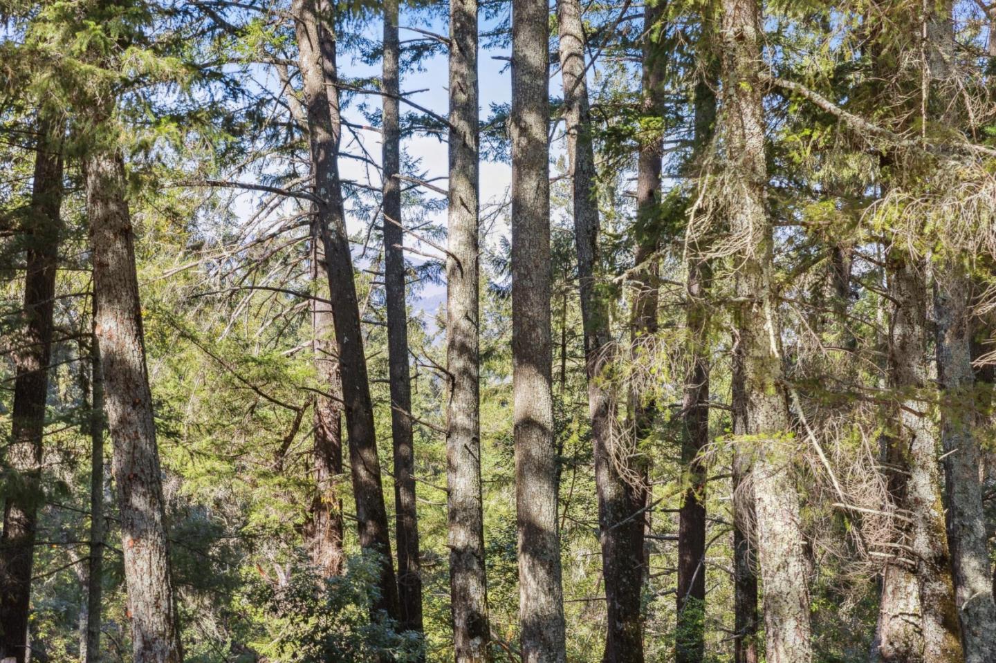 Detail Gallery Image 60 of 72 For 24595 Skyland Rd, Los Gatos,  CA 95033 - 4 Beds | 3/1 Baths