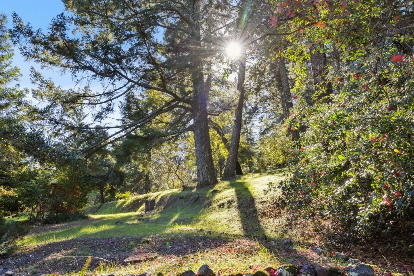 Detail Gallery Image 68 of 72 For 24595 Skyland Rd, Los Gatos,  CA 95033 - 4 Beds | 3/1 Baths