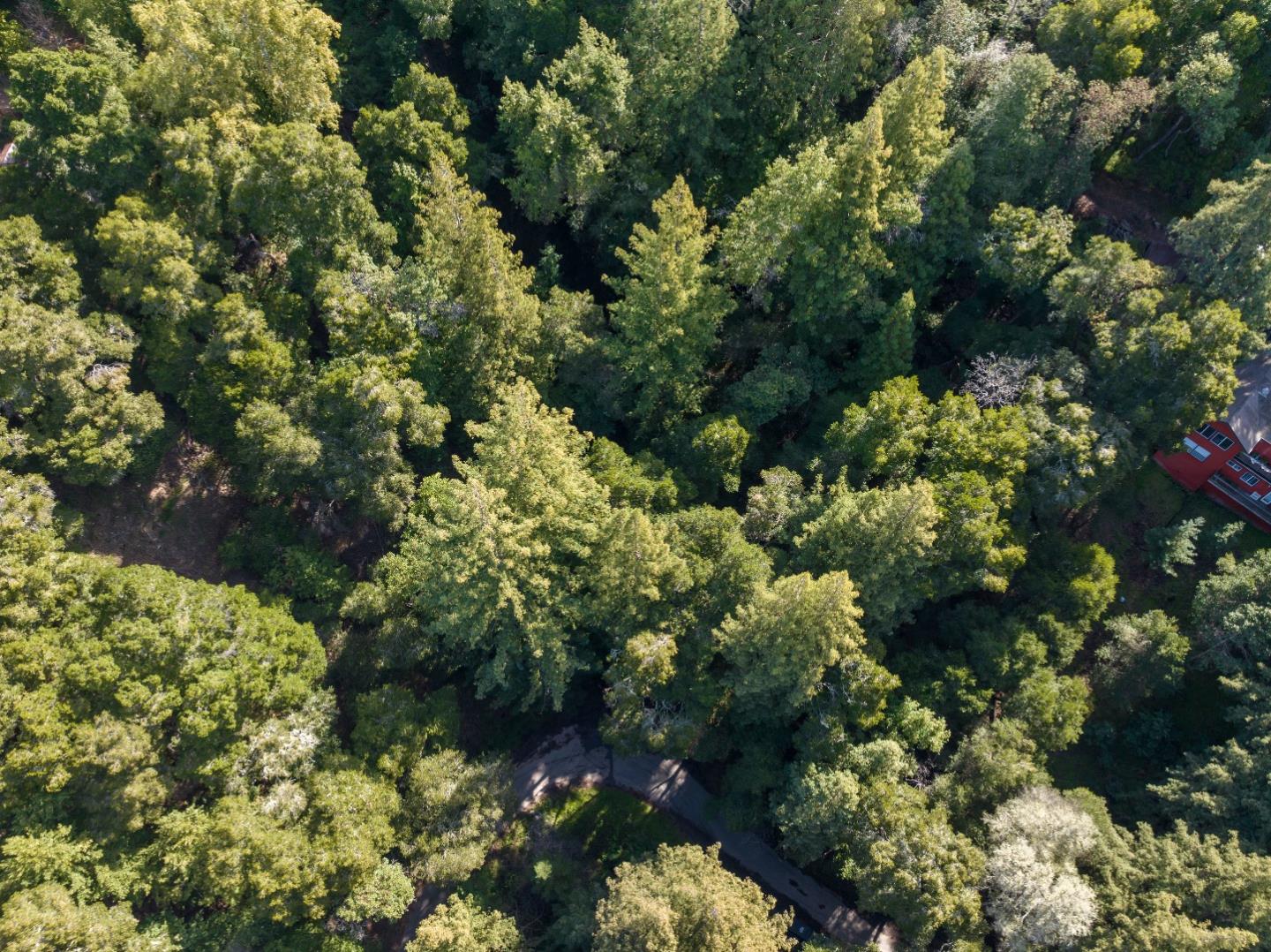 Detail Gallery Image 10 of 11 For Lot 34 Lake Blvd, Felton,  CA 95018 - – Beds | – Baths