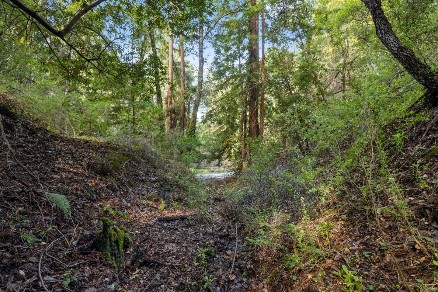 Detail Gallery Image 6 of 11 For Lot 34 Lake Blvd, Felton,  CA 95018 - – Beds | – Baths