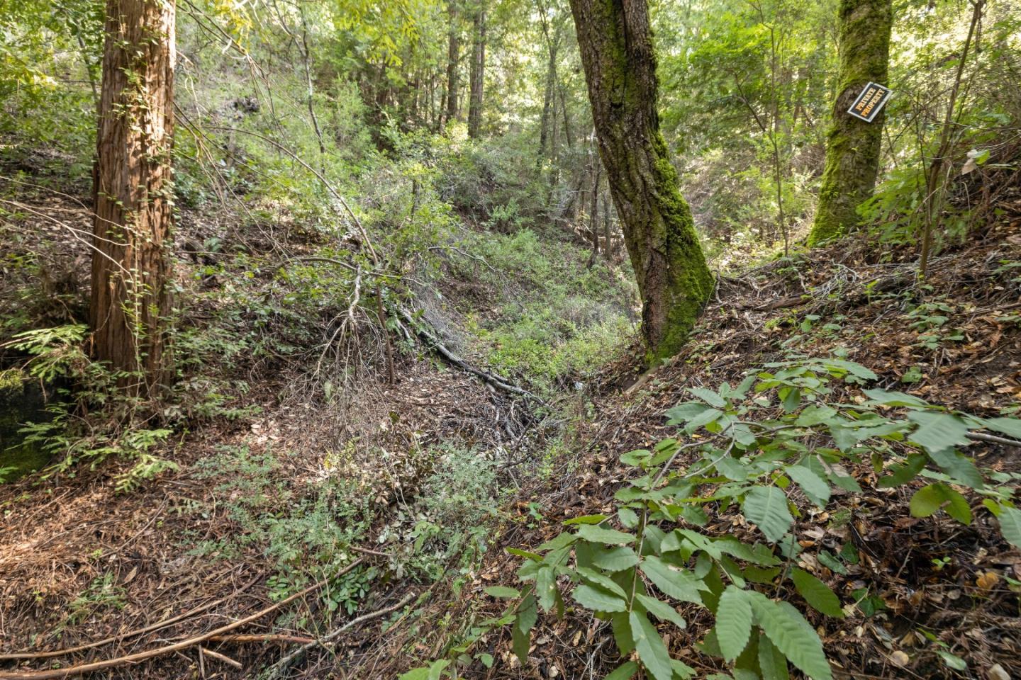 Detail Gallery Image 7 of 11 For Lot 34 Lake Blvd, Felton,  CA 95018 - – Beds | – Baths