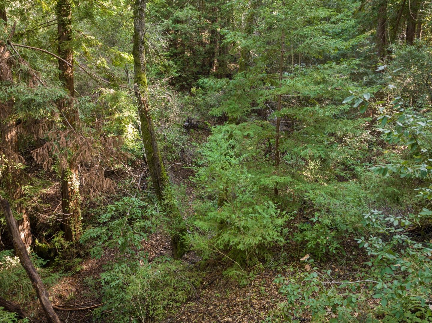 Detail Gallery Image 8 of 11 For Lot 34 Lake Blvd, Felton,  CA 95018 - – Beds | – Baths