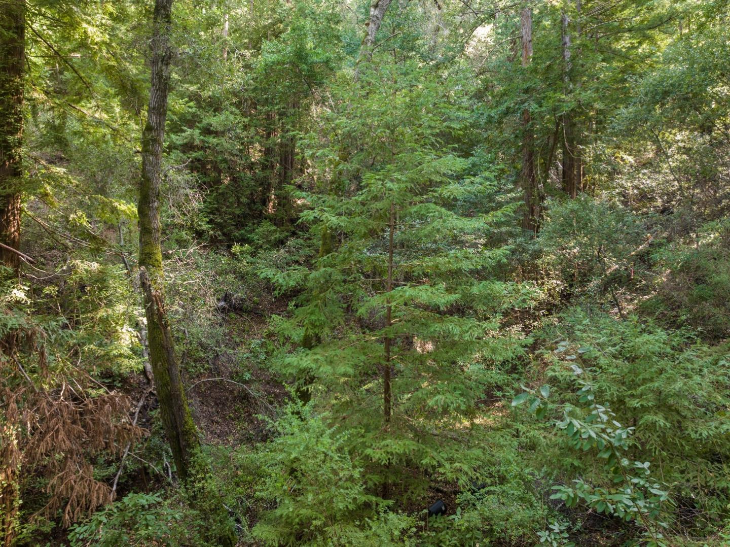 Detail Gallery Image 9 of 11 For Lot 34 Lake Blvd, Felton,  CA 95018 - – Beds | – Baths