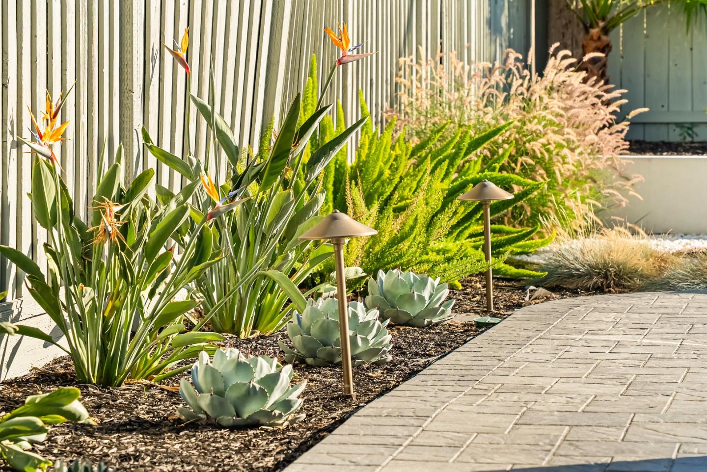 Detail Gallery Image 40 of 57 For 816 Waldo Rd, Campbell,  CA 95008 - 3 Beds | 2 Baths