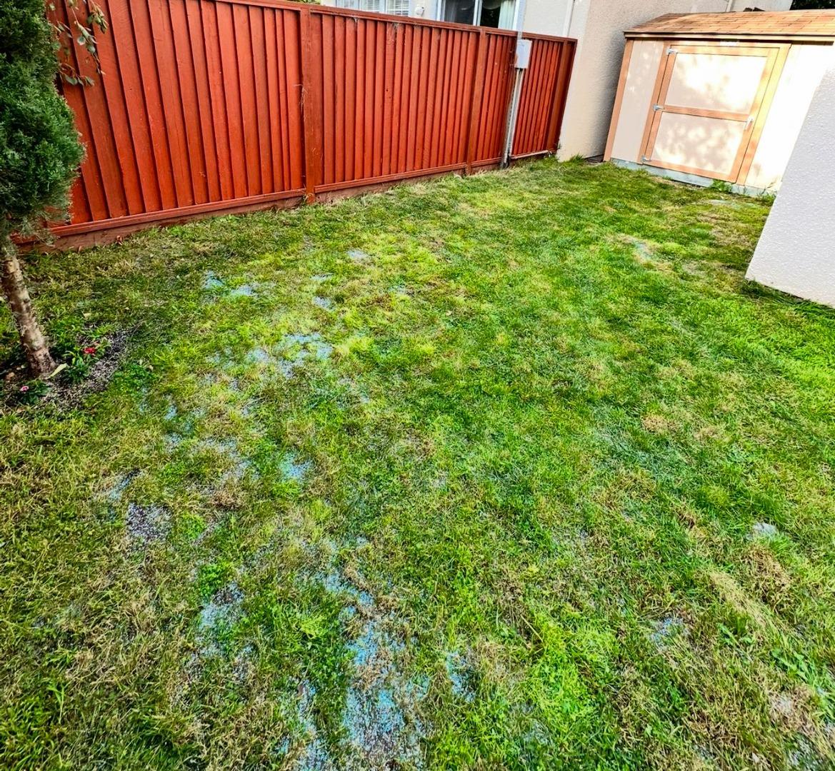 Detail Gallery Image 18 of 18 For 1958 Bradbury St, Salinas,  CA 93906 - 3 Beds | 2/1 Baths