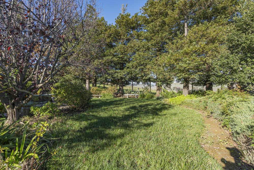 Detail Gallery Image 73 of 85 For 310 via Vaquero Norte, San Juan Bautista,  CA 95045 - 4 Beds | 3/1 Baths