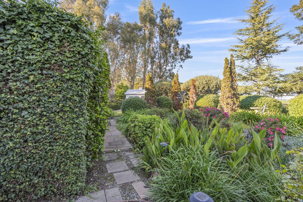 Detail Gallery Image 75 of 85 For 310 via Vaquero Norte, San Juan Bautista,  CA 95045 - 4 Beds | 3/1 Baths