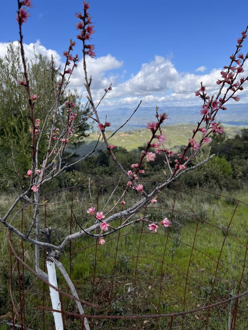 Detail Gallery Image 31 of 34 For 110 Silverline Rd, Los Gatos,  CA 95033 - – Beds | – Baths