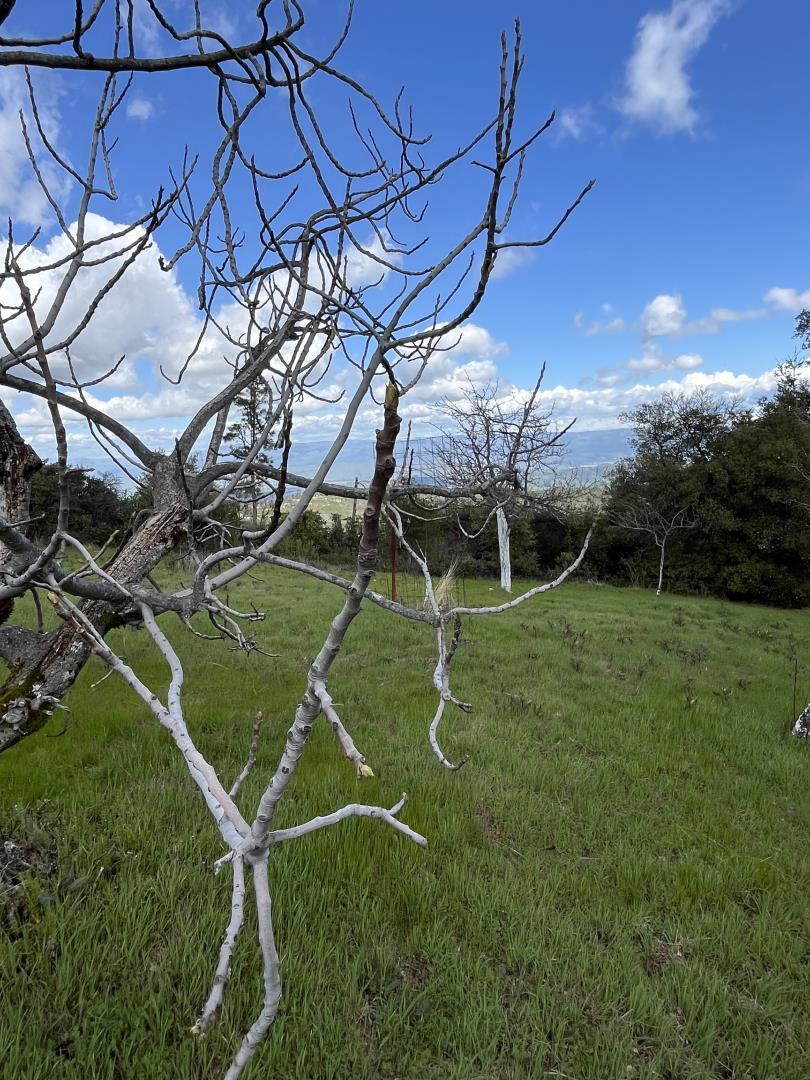 Detail Gallery Image 32 of 34 For 110 Silverline Rd, Los Gatos,  CA 95033 - – Beds | – Baths