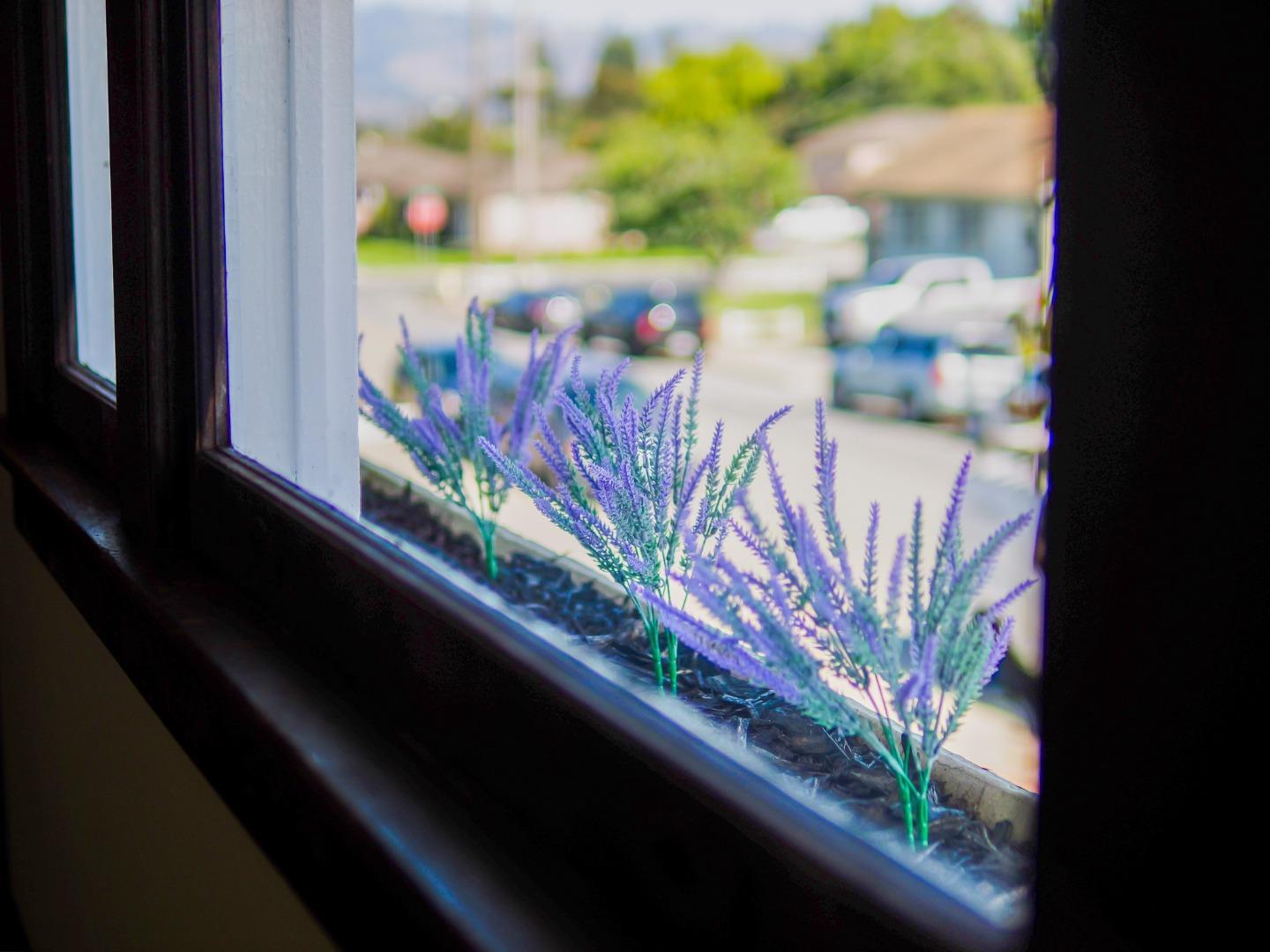 Detail Gallery Image 21 of 42 For 441 Center St, Watsonville,  CA 95076 - 6 Beds | 3/2 Baths