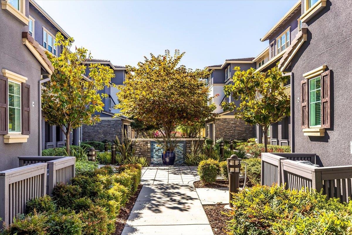 107 LEMMON TER, SUNNYVALE, CA 94086  Photo 4