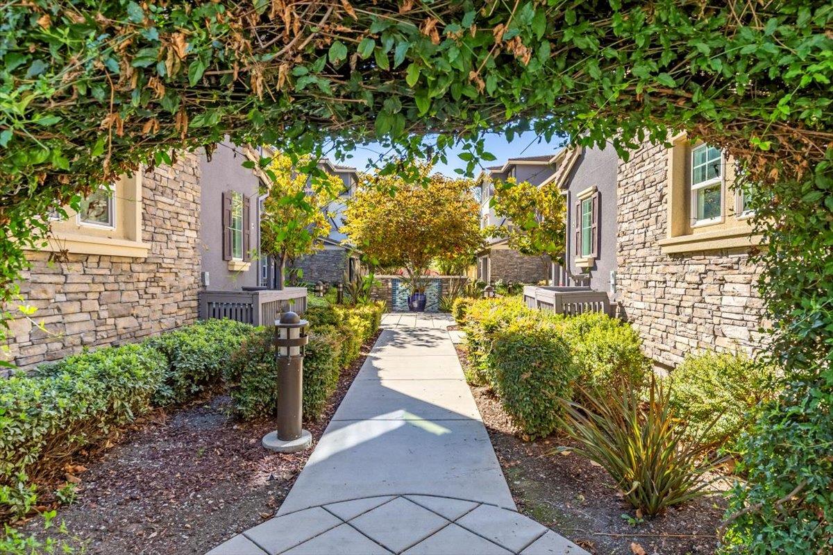 107 LEMMON TER, SUNNYVALE, CA 94086  Photo 5