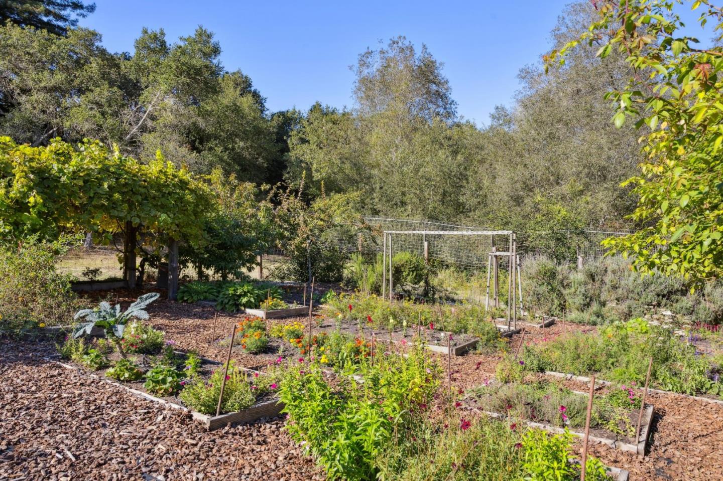 Detail Gallery Image 81 of 116 For 653 Larkin Valley Rd, Watsonville,  CA 95076 - 5 Beds | 4 Baths