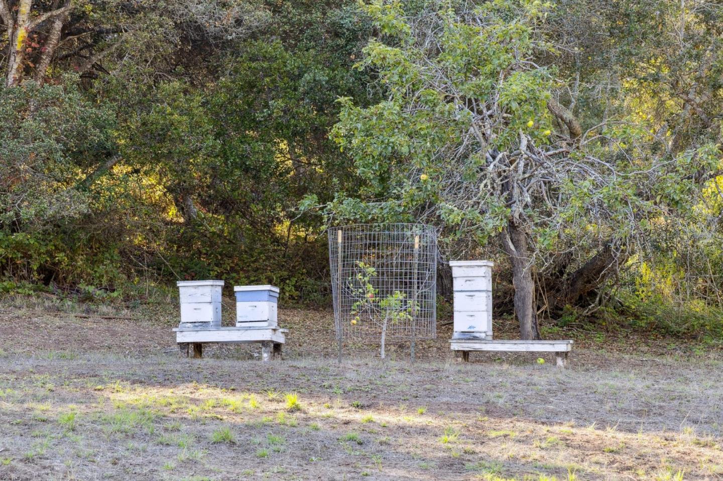 Detail Gallery Image 87 of 116 For 653 Larkin Valley Rd, Watsonville,  CA 95076 - 5 Beds | 4 Baths