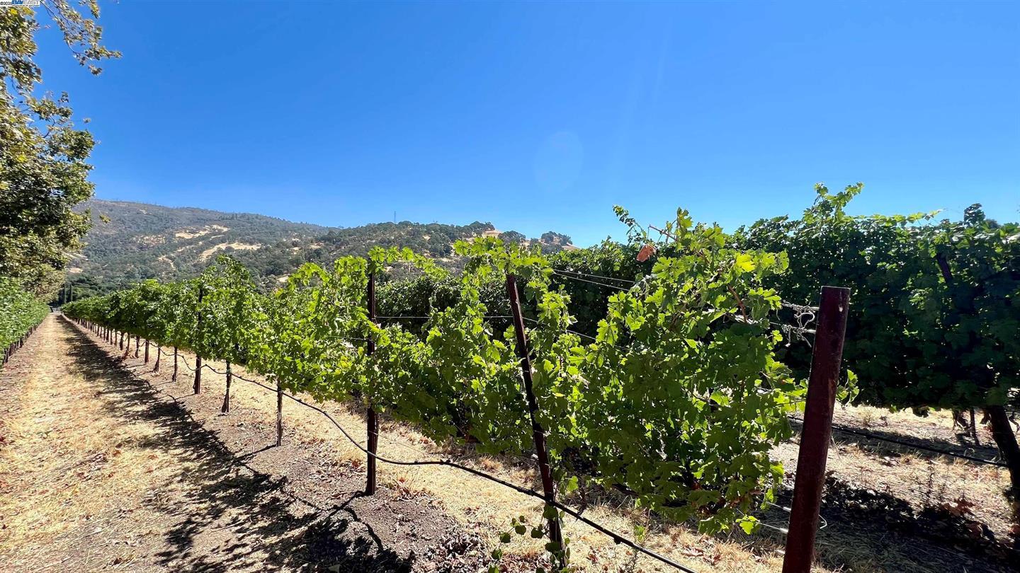 Detail Gallery Image 32 of 40 For 6726 Lakeshore Blvd, Lucerne,  CA 95458 - 3 Beds | 1 Baths