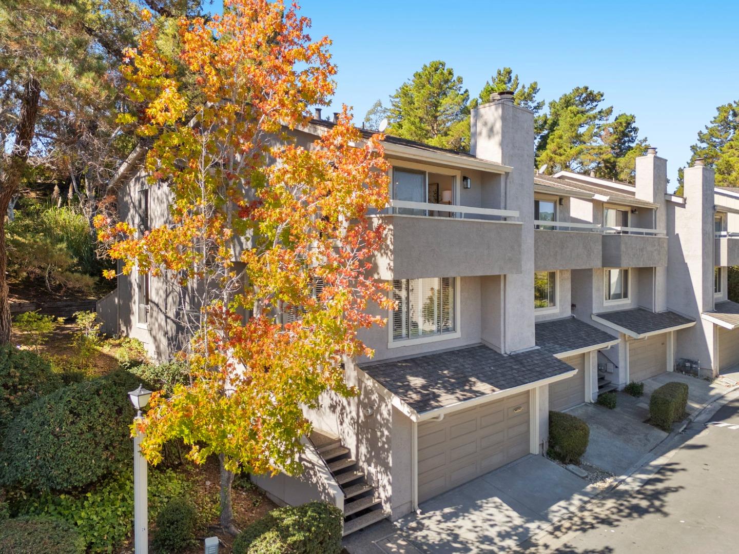 Detail Gallery Image 2 of 88 For 62 Lyonridge Ln, San Mateo,  CA 94402 - 3 Beds | 2/1 Baths