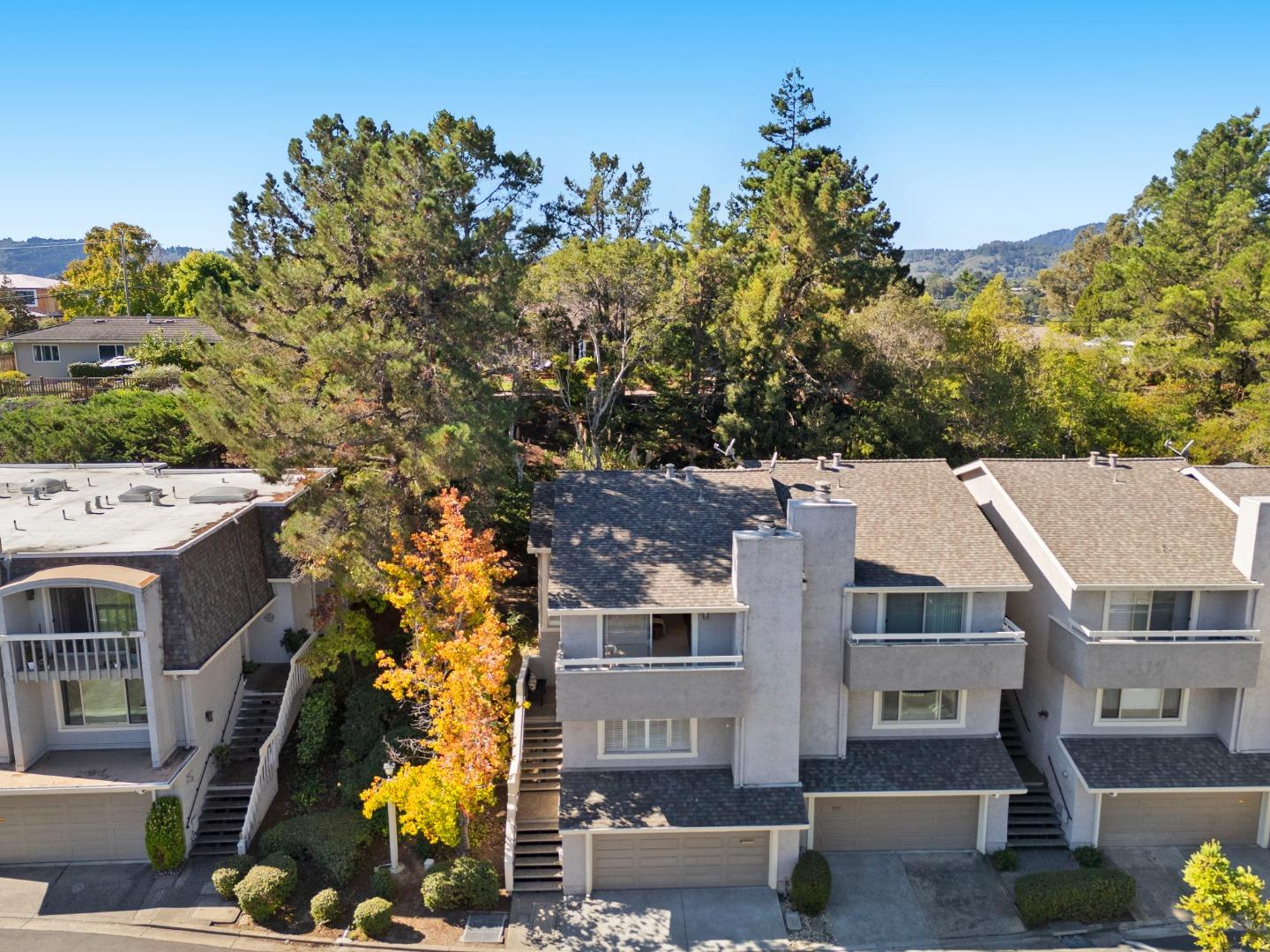 Detail Gallery Image 4 of 88 For 62 Lyonridge Ln, San Mateo,  CA 94402 - 3 Beds | 2/1 Baths