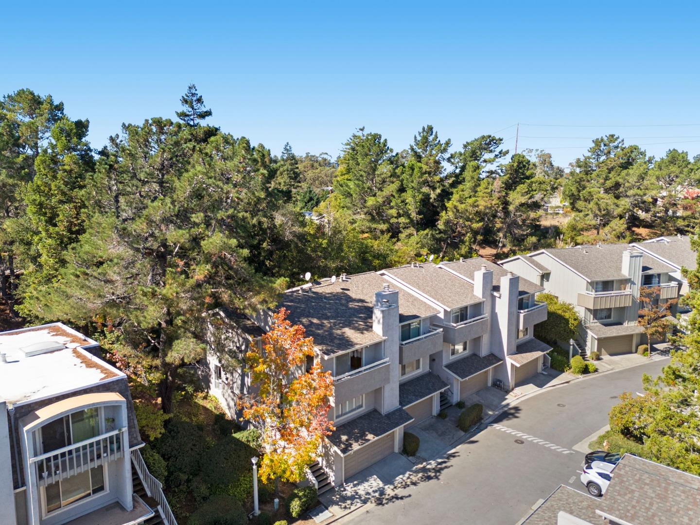 Detail Gallery Image 59 of 88 For 62 Lyonridge Ln, San Mateo,  CA 94402 - 3 Beds | 2/1 Baths