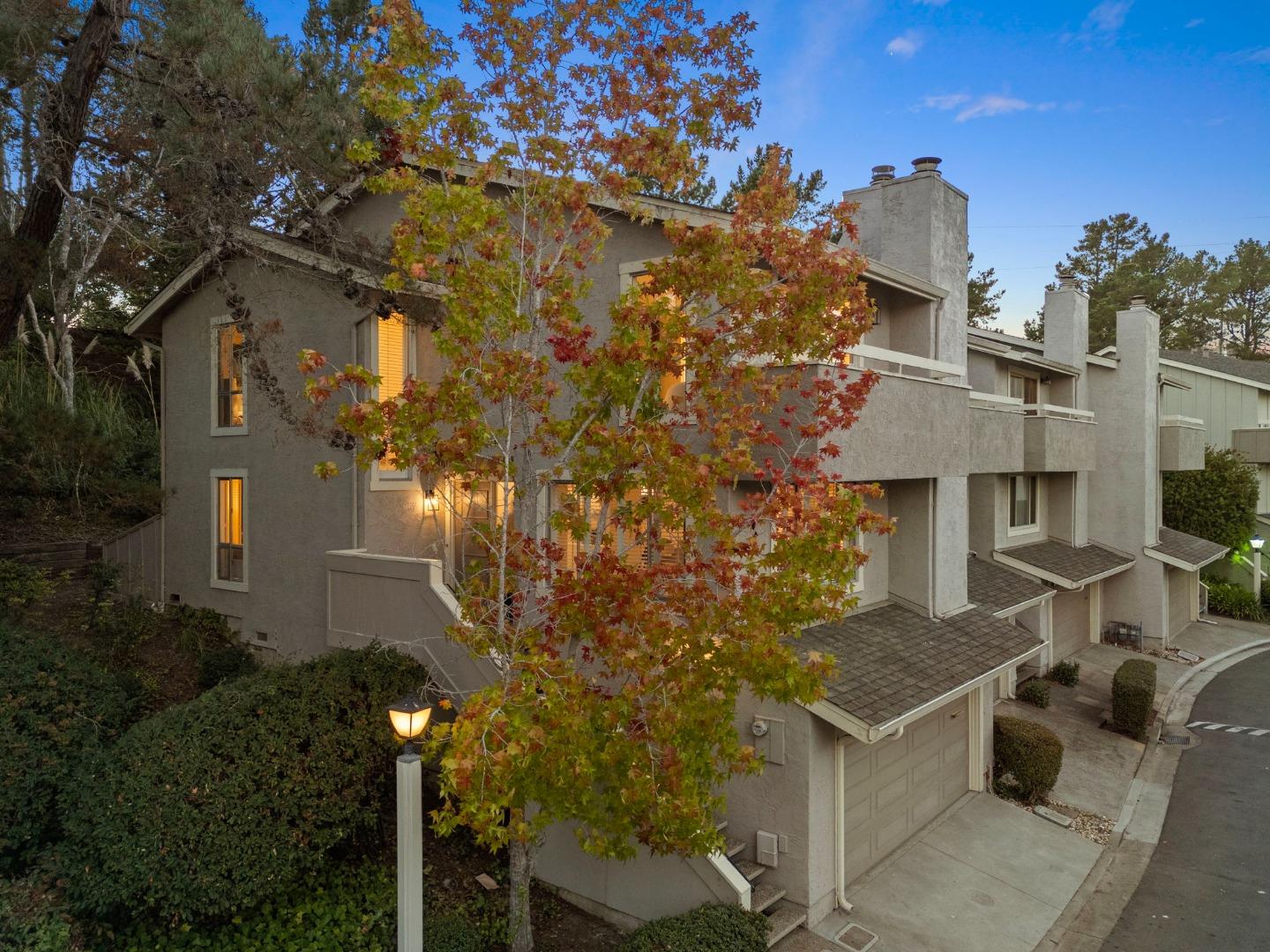 Detail Gallery Image 78 of 88 For 62 Lyonridge Ln, San Mateo,  CA 94402 - 3 Beds | 2/1 Baths